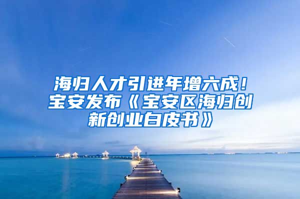 海归人才引进年增六成！宝安发布《宝安区海归创新创业白皮书》