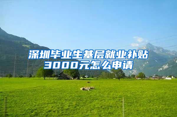 深圳毕业生基层就业补贴3000元怎么申请