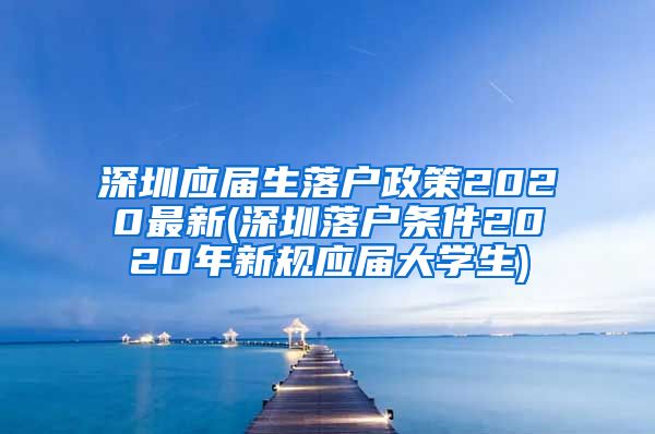 深圳应届生落户政策2020最新(深圳落户条件2020年新规应届大学生)