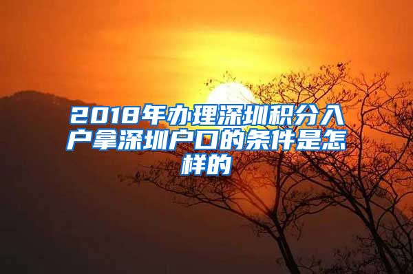 2018年办理深圳积分入户拿深圳户口的条件是怎样的