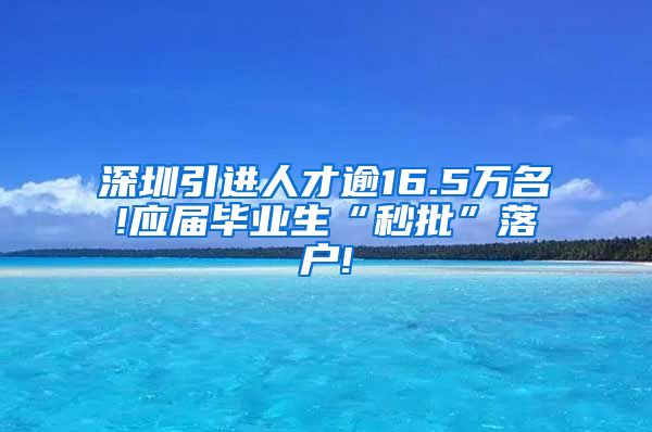 深圳引进人才逾16.5万名!应届毕业生“秒批”落户!