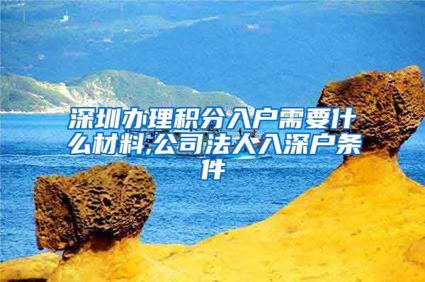 深圳办理积分入户需要什么材料,公司法人入深户条件
