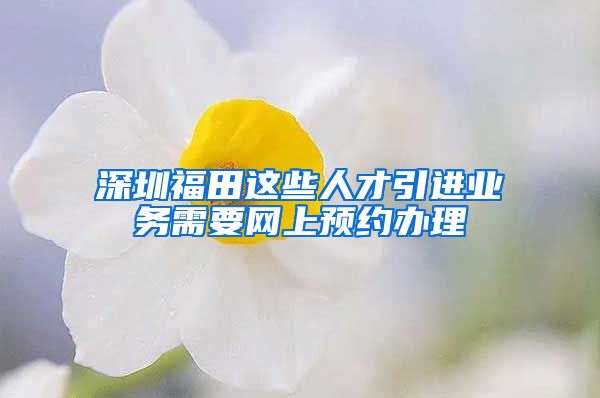 深圳福田这些人才引进业务需要网上预约办理
