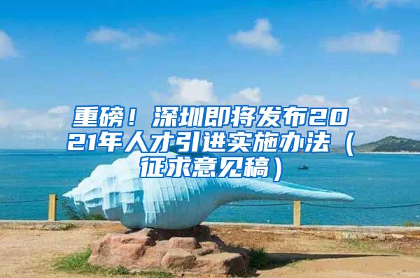 重磅！深圳即将发布2021年人才引进实施办法（征求意见稿）