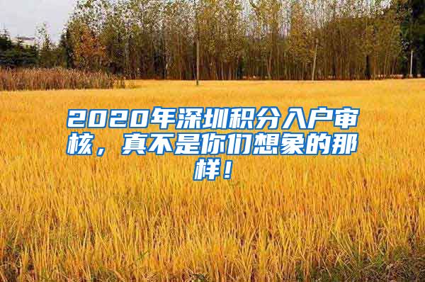 2020年深圳积分入户审核，真不是你们想象的那样！