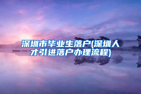 深圳市毕业生落户(深圳人才引进落户办理流程)
