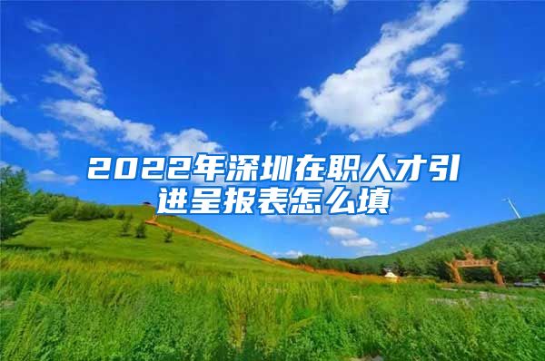 2022年深圳在职人才引进呈报表怎么填