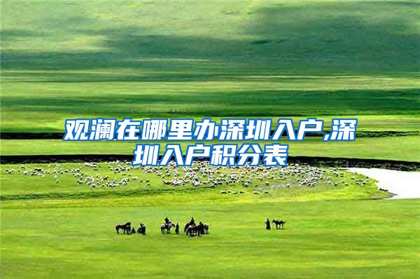 观澜在哪里办深圳入户,深圳入户积分表