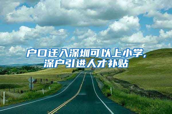 户口迁入深圳可以上小学,深户引进人才补贴