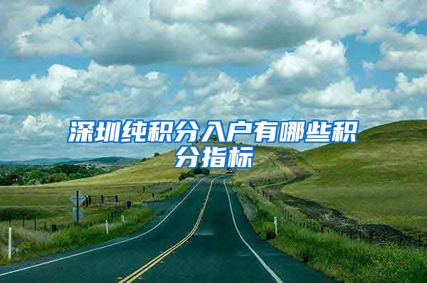 深圳纯积分入户有哪些积分指标