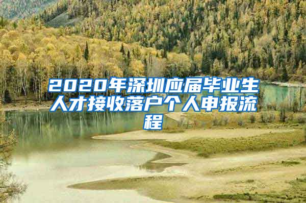 2020年深圳应届毕业生人才接收落户个人申报流程