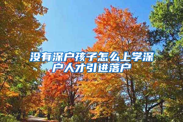 没有深户孩子怎么上学深户人才引进落户