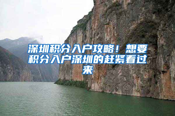 深圳积分入户攻略！想要积分入户深圳的赶紧看过来