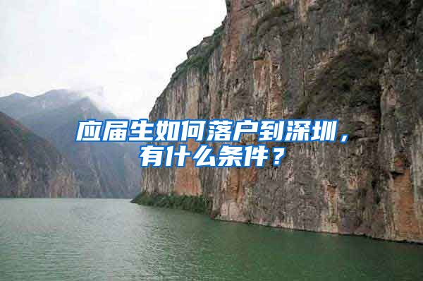 应届生如何落户到深圳，有什么条件？