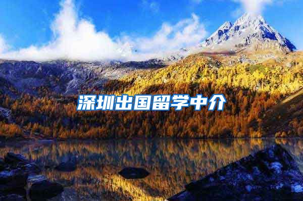 深圳出国留学中介