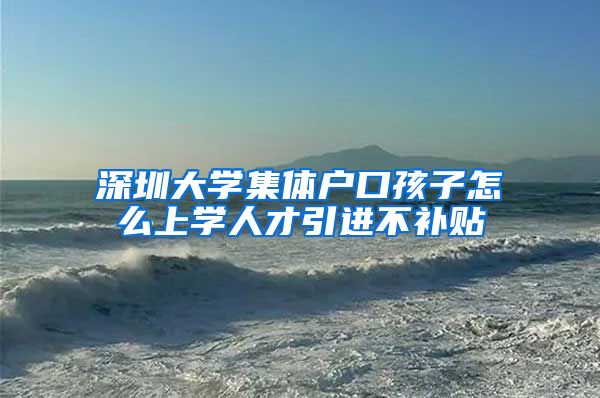 深圳大学集体户口孩子怎么上学人才引进不补贴