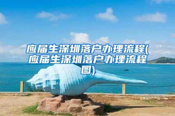 应届生深圳落户办理流程(应届生深圳落户办理流程图)