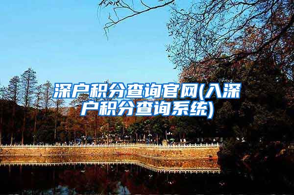 深户积分查询官网(入深户积分查询系统)