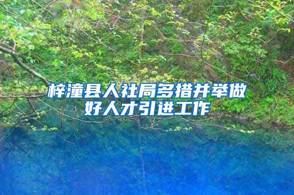 梓潼县人社局多措并举做好人才引进工作