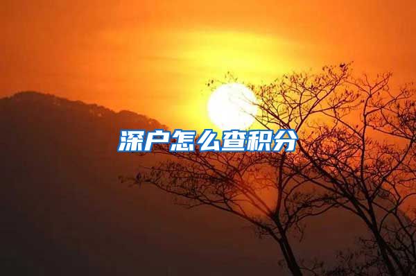 深户怎么查积分