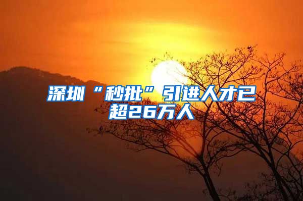 深圳“秒批”引进人才已超26万人