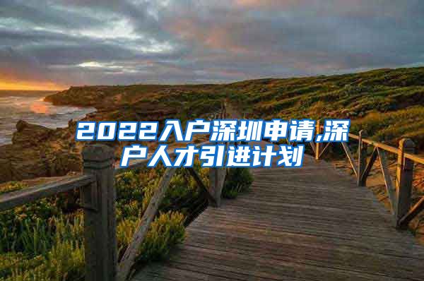 2022入户深圳申请,深户人才引进计划