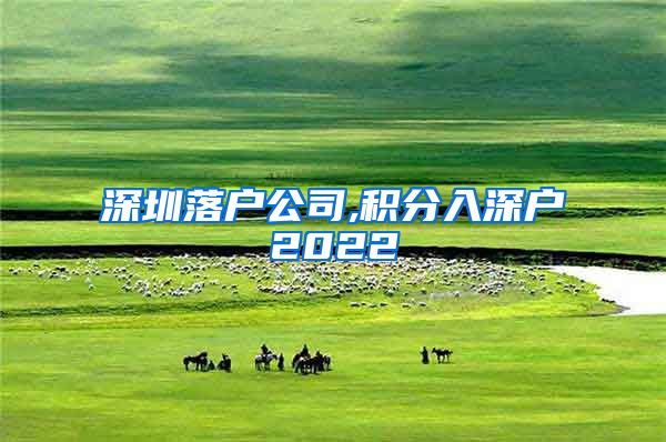 深圳落户公司,积分入深户2022