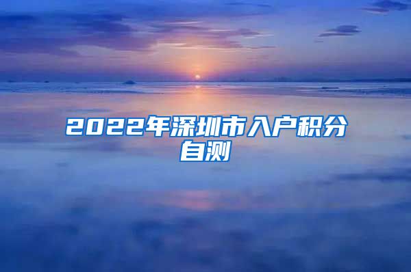 2022年深圳市入户积分自测