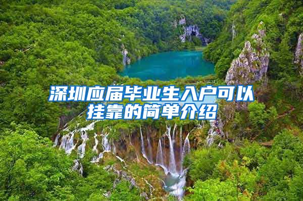 深圳应届毕业生入户可以挂靠的简单介绍