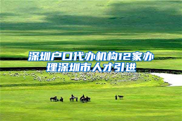 深圳户口代办机构12家办理深圳市人才引进