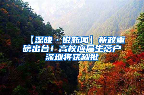 【深晚·说新闻】新政重磅出台！高校应届生落户深圳将获秒批