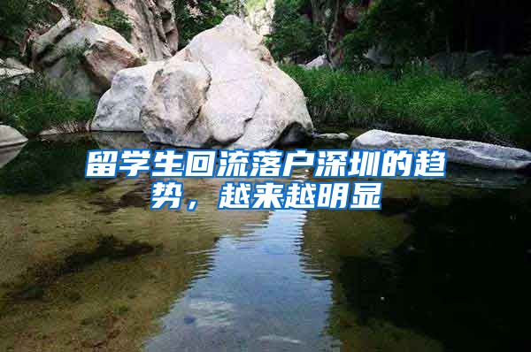 留学生回流落户深圳的趋势，越来越明显