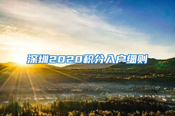 深圳2020积分入户细则
