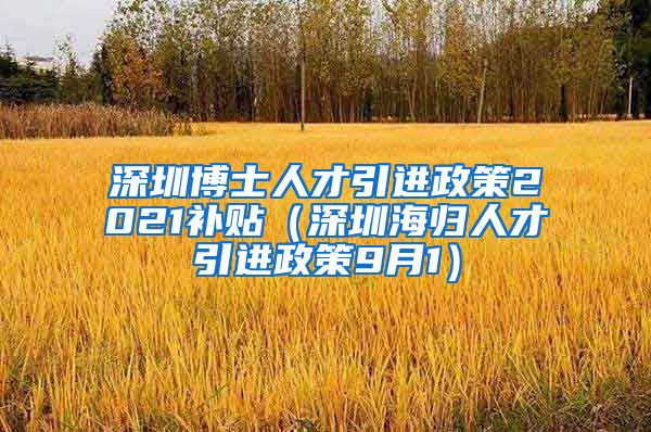 深圳博士人才引进政策2021补贴（深圳海归人才引进政策9月1）