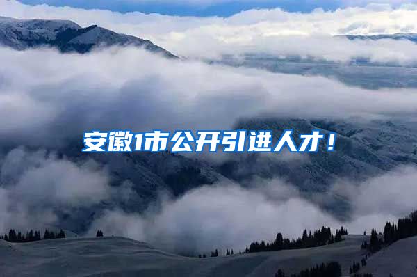 安徽1市公开引进人才！