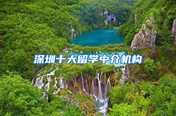 深圳十大留学中介机构