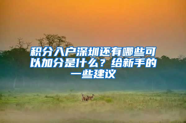 积分入户深圳还有哪些可以加分是什么？给新手的一些建议