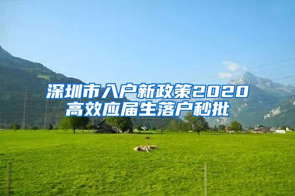 深圳市入户新政策2020高效应届生落户秒批