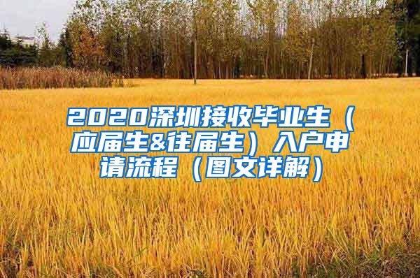 2020深圳接收毕业生（应届生&往届生）入户申请流程（图文详解）