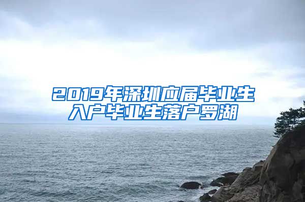 2019年深圳应届毕业生入户毕业生落户罗湖