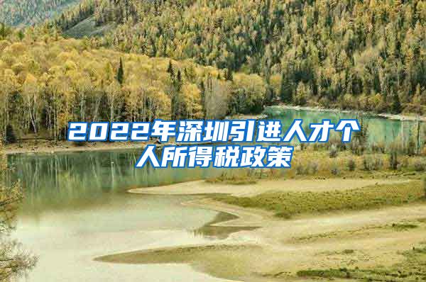 2022年深圳引进人才个人所得税政策