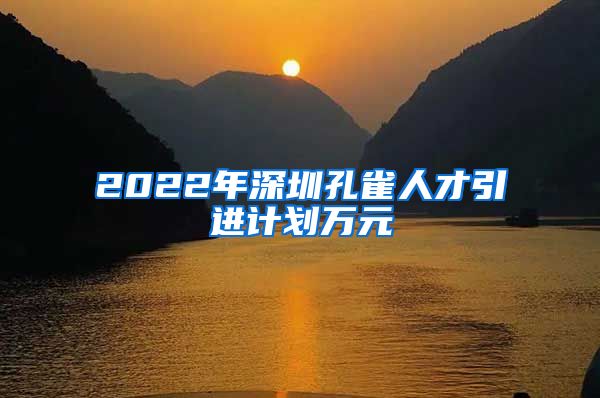 2022年深圳孔雀人才引进计划万元