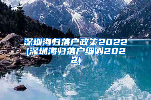 深圳海归落户政策2022(深圳海归落户细则2022)