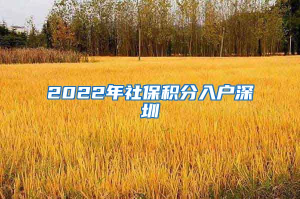 2022年社保积分入户深圳
