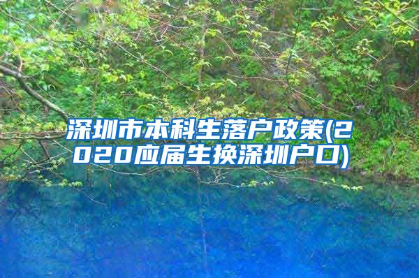 深圳市本科生落户政策(2020应届生换深圳户口)