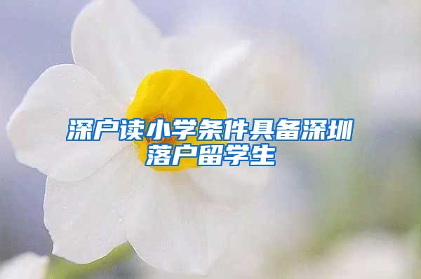 深户读小学条件具备深圳落户留学生