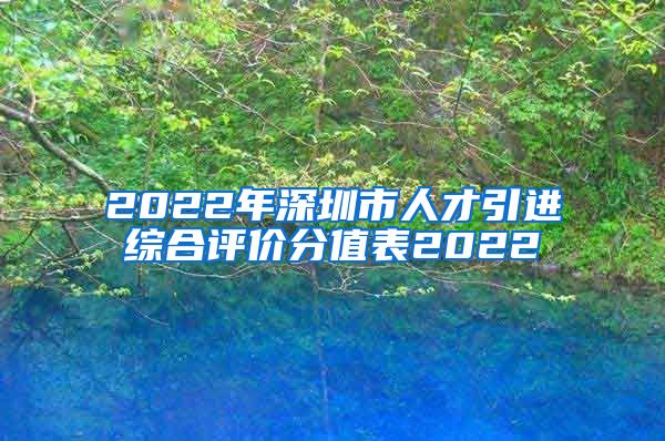 2022年深圳市人才引进综合评价分值表2022