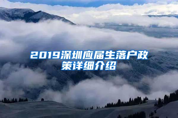 2019深圳应届生落户政策详细介绍