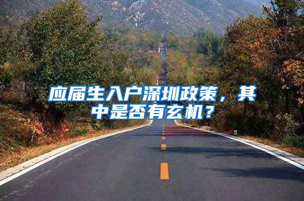 应届生入户深圳政策，其中是否有玄机？