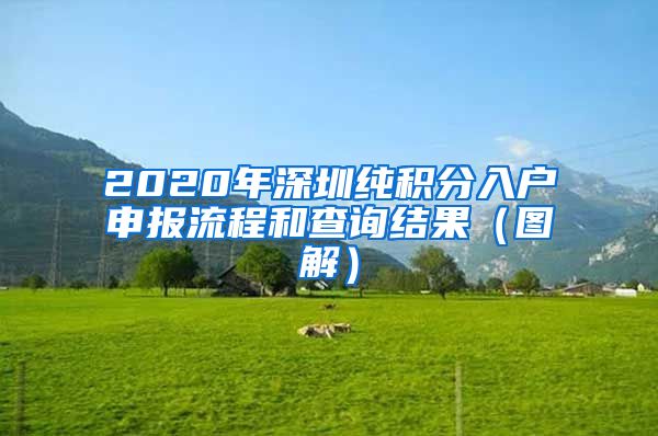 2020年深圳纯积分入户申报流程和查询结果（图解）
